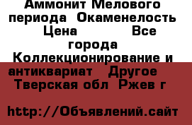 Аммонит Мелового периода. Окаменелость. › Цена ­ 2 800 - Все города Коллекционирование и антиквариат » Другое   . Тверская обл.,Ржев г.